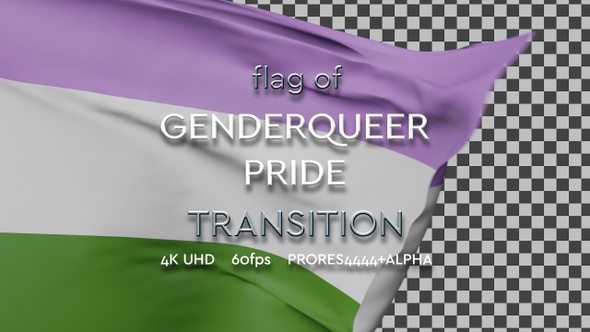 Flag of Genderqueer Pride Transition | UHD | 60fps