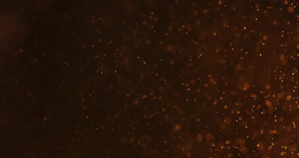 Red Bubbles And Particles In Water Against Black Background