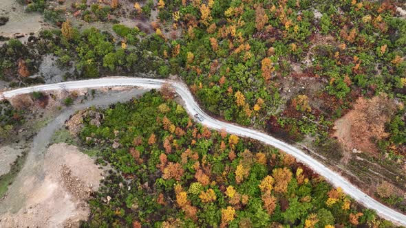 Autumn Forest Aerial View 4 K