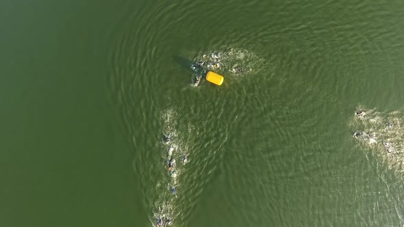 Group of Professional Swimmers Swims in Open Water