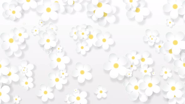 Growing floral background, paper flowers appearing, botanical pattern