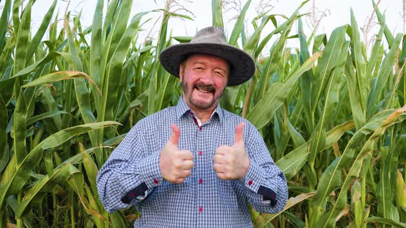 A Senior Agronomist Stands in a Field in the Middle of His Harvest and Looking at Camera