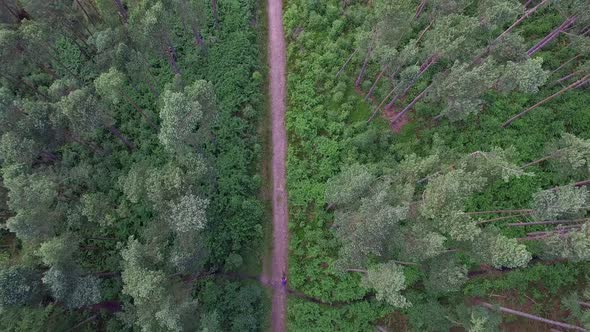 Aerial view of a mountain biker on a scenic singletrack trail