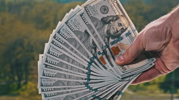 Male Hands Show New Dollar Bills Like a Fan on Backdrop of Green Nature