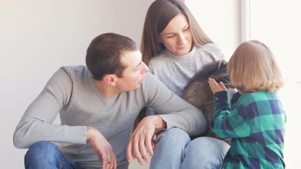 Family Plays with a Domestic Raccoon on a White Background Isolate