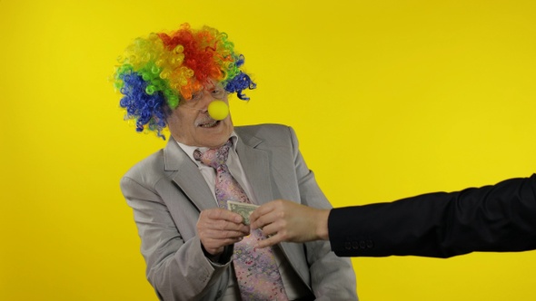 Clown Businessman Freelancer in Wig Holds One Buck Money Income and Loses It