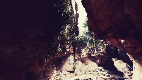 Large Fairy Rocky Cave with Green Plants