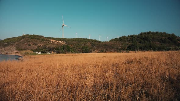 Shot of Windmills on the Hill Through Yellow Grass