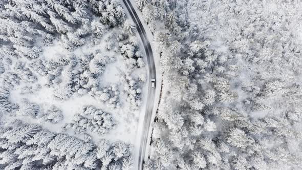 Scenic Drone Shot of White Car Driving Along a Road Along the Forest in Winter