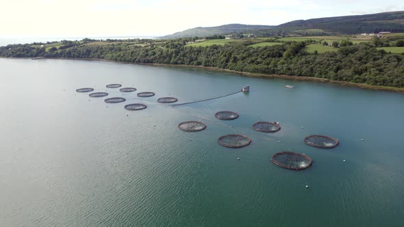 A Fish Farm in Scotland Providing Mariculture for Food Markets