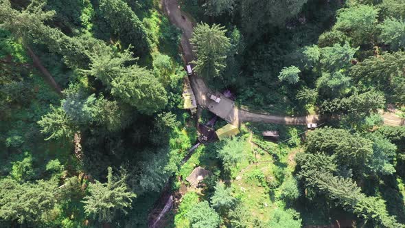 Aerial Footage of Evergreen Trees at Jana Waterfall , Manali , Himachal Pradesh, Looking Down