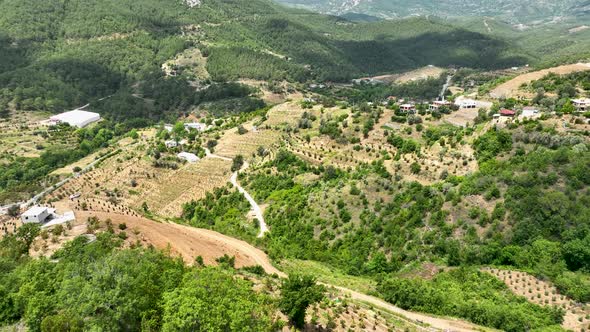 Farm Region Aerial View 4 K Alanya Turkey