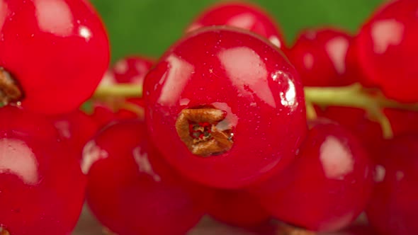 Redcurrants on a Wooden Table