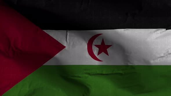 Western Sahara Flag Textured Waving Background 4K