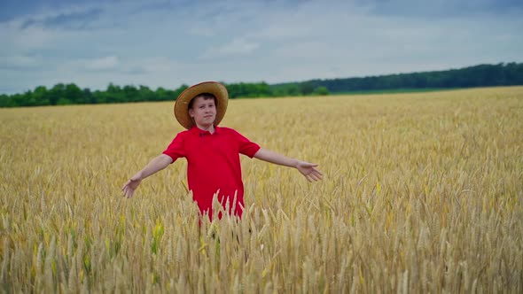 Happy boy in wheat.