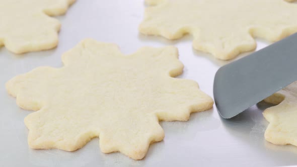 Fresh Baked Christmas Cookie