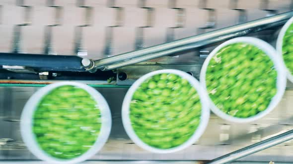 Top View of Tin Cans with Peas on the Factory Transporter