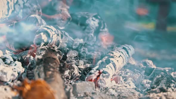 RedHot Charcoal Burns Out in a Fire in Nature