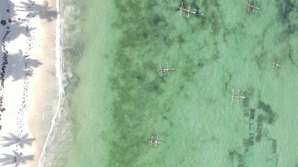 Tanzania Vertical Video  Boat Boats in the Ocean Near the Coast of Zanzibar Aerial View