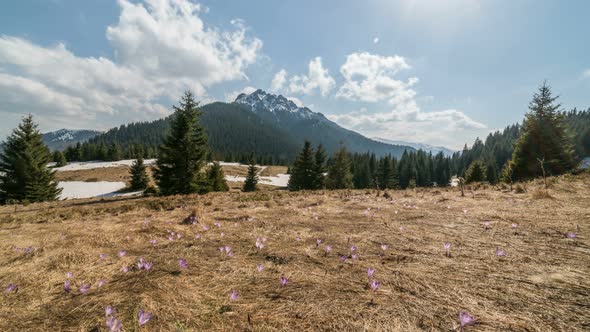 Spring Mountains Clouds