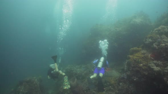 Scuba Divers Underwater. Philippines, Mindoro