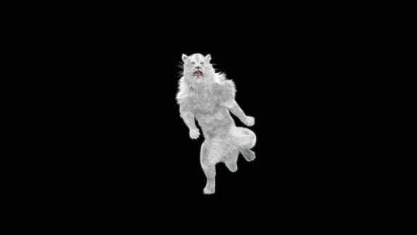 White Lion Dancing HD