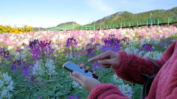 Young woman typing on smartphone in park, slowmotion shot