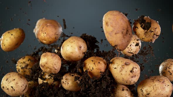 Super Slow Motion Shot of Flying Potatoes with Soil at 1000 Fps