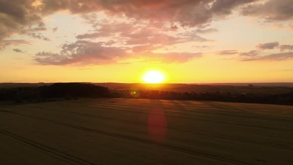 Aerial Landscape View of Yellow Cultivated Agricultural Field with Ripe Wheat on Vibrant Summer