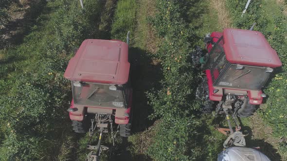 Aerial view of tractors irrigating an apple plantation