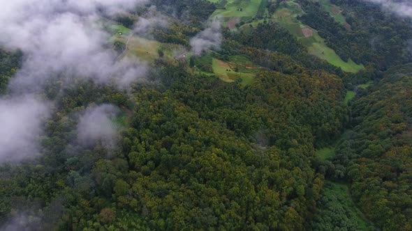 Flying Over Fog And Forest