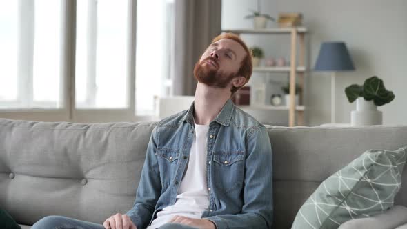 Young Beard Man Sleeping Sitting on Couch