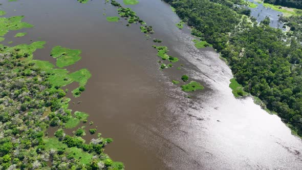 Stunning landscape of Amazon Forest at Amazonas State Brazil.