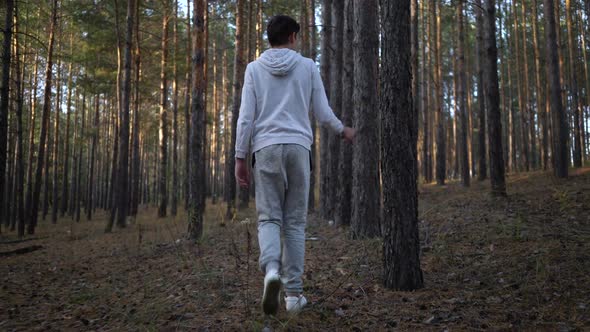 Young Teen Boy Walking in the Pine Tree Forest