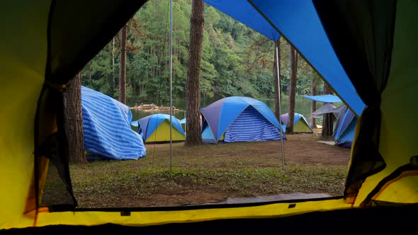 View From Inside Tent to the Camping Site a Pine Forest with Trees and a Lake