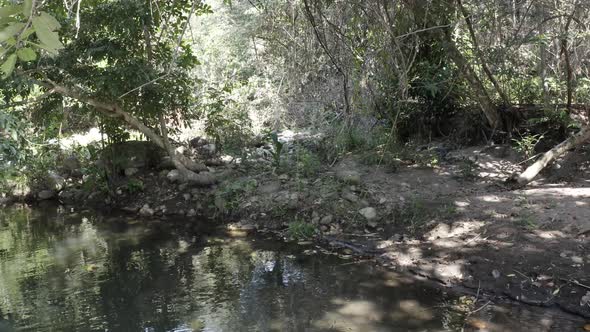 Moving shot of river approaching its edge with beautiful forest