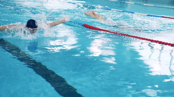 Two Men are Swimming Butterfly Along the Pool's Lanes