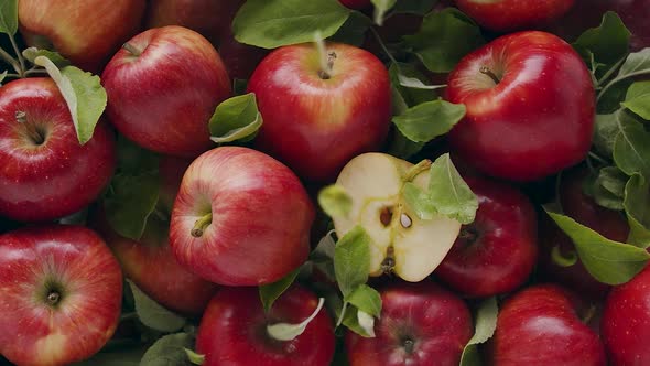 Delicious Red Natural Apples with Many Leaves Falling From Above