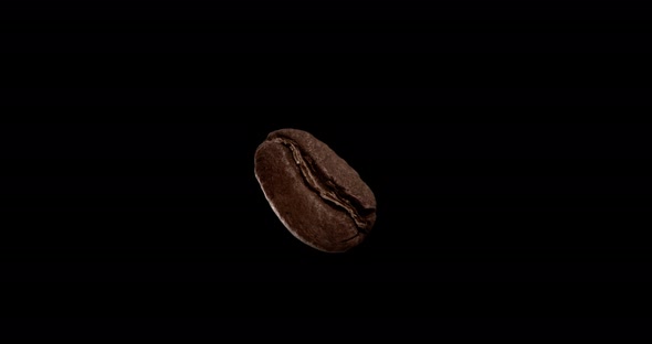 Macro Shot of a Roasted Coffee Bean Flying Up Shot Against a Dark Background a Coffee Bean Flying Up