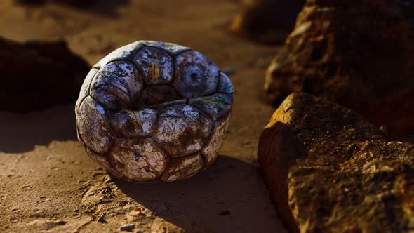 Old Leather Soccer Ball Abandoned on Sand