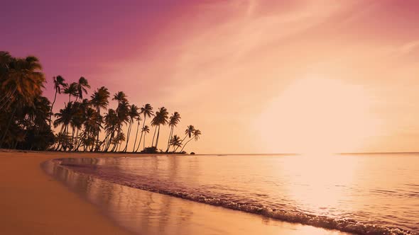 Yellow sunset at the beach. Palm trees sunset background. Waves, sky and yellow sun. Amazing island