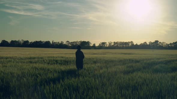 Women Walking at Sunset.  Video Prores