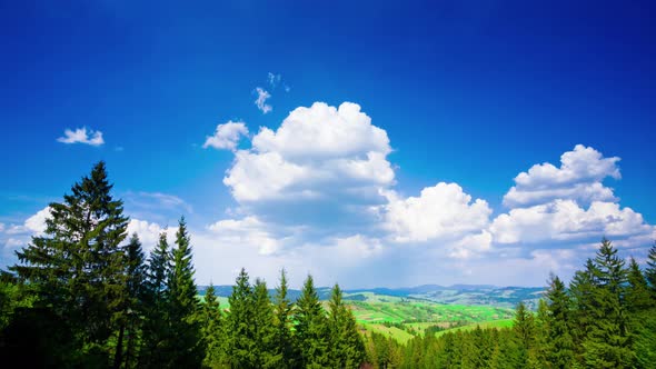 Sunny Time Lapse in Carpatian Mountains