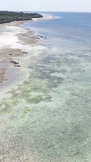 Vertical Video of Low Tide in the Ocean Near the Coast of Zanzibar Tanzania