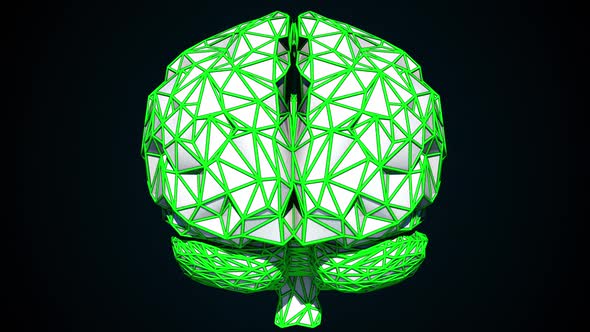 Low Poly Brain