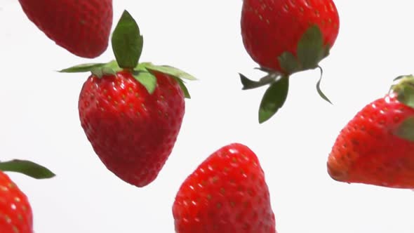 Closeup of the Red Ripe Strawberries Flying and Rotating on a White Background