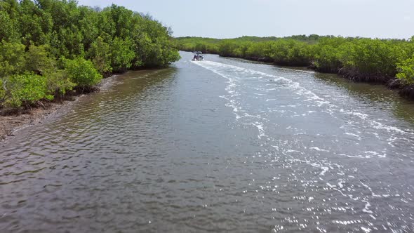 Tourists Sailing On The River With Dense Mangrove Forest In Manglares, San Crisanto, Yucatan, Mexico