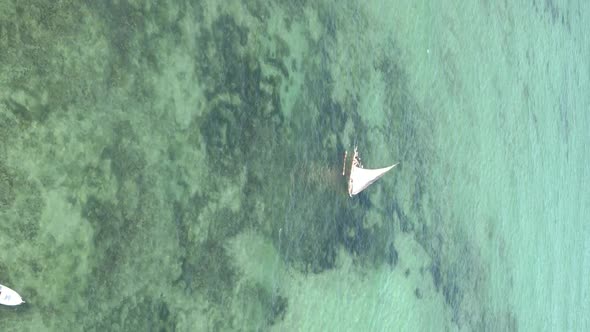 Vertical Video Boats in the Ocean Near the Coast of Zanzibar Tanzania Aerial View