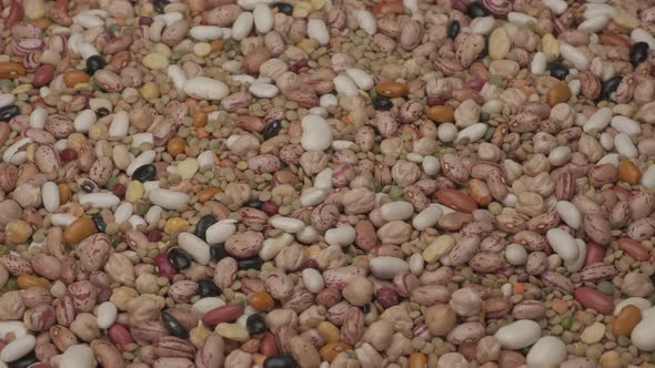 Dry Mixed Legumes
