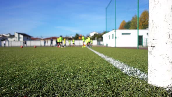 Crowd Women Football Training